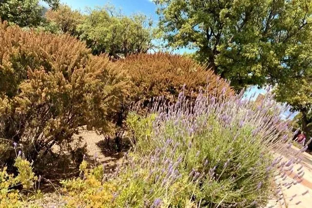 Bienvenue Au Paradis, Vue Imprenable Sur Les Iles Bormes-les-Mimosas Frankrig